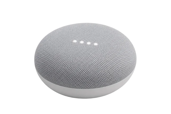Google Nest Mini