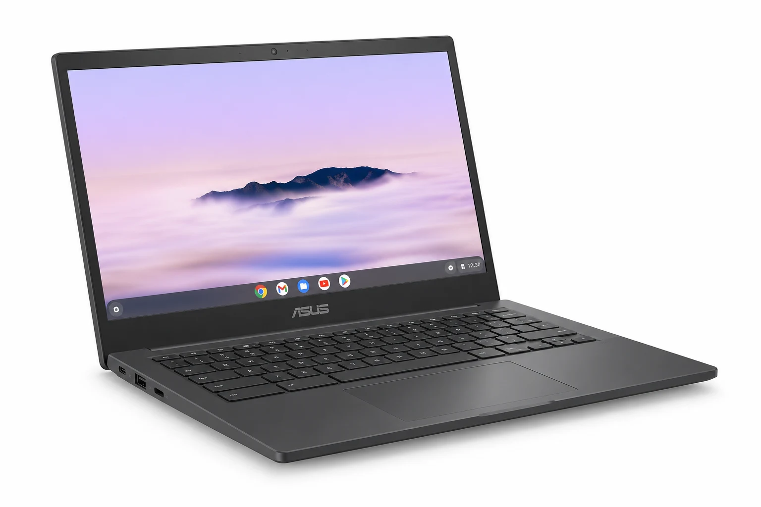 Иллюстрация модели ASUS-CHROMEBOOK-ENTERPRISE-CM15-CM1505