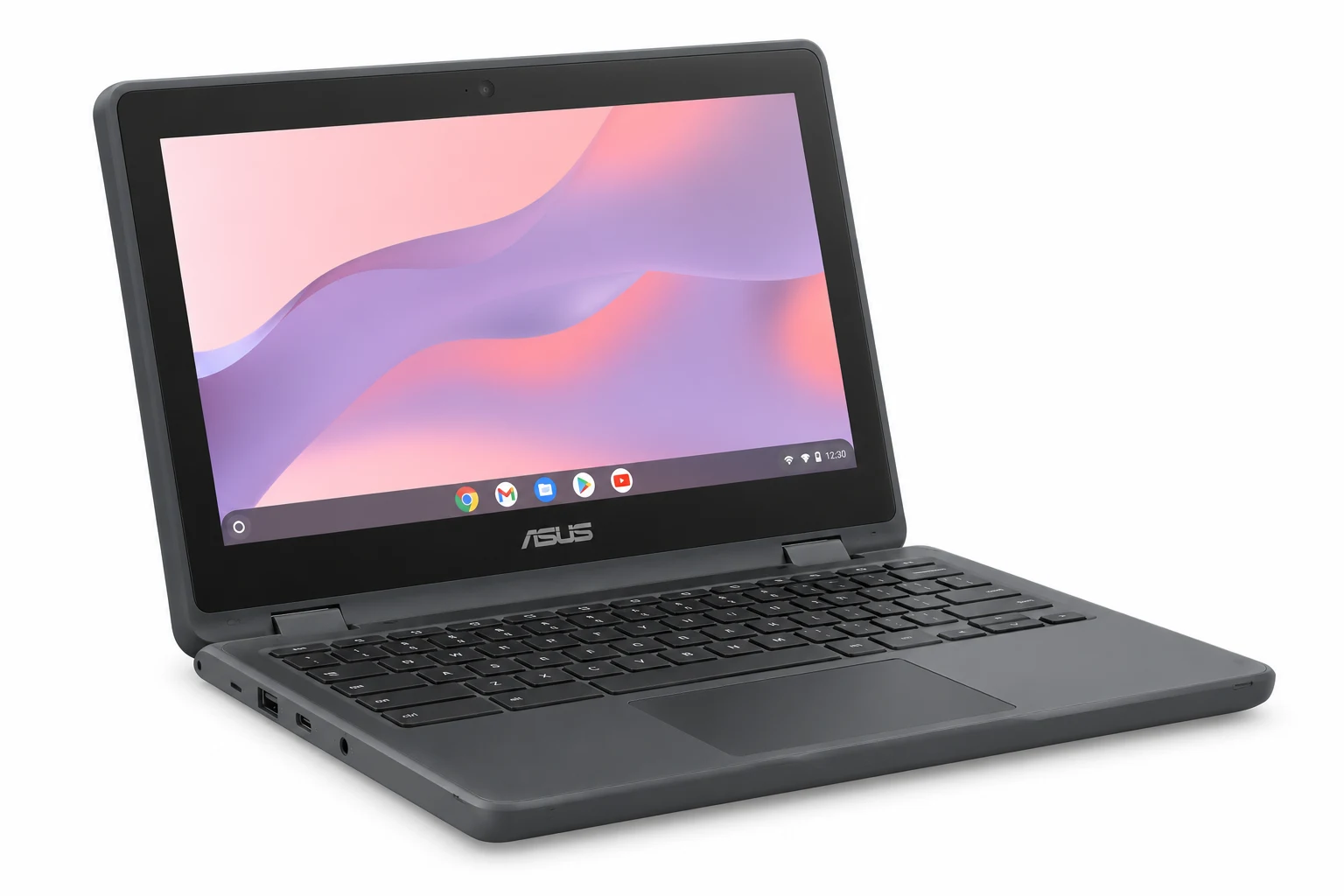 Иллюстрация модели ASUS-CHROMEBOOK-CZ12-CZ1204C